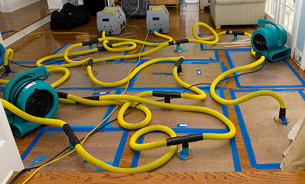 Professional Water Damage Restoration technician working in Greenbelt, MD